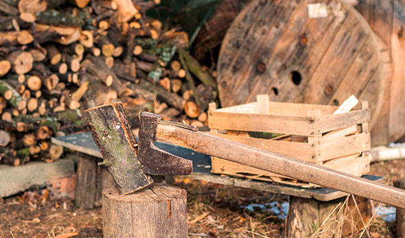 le bois est une énergie renouvelable.